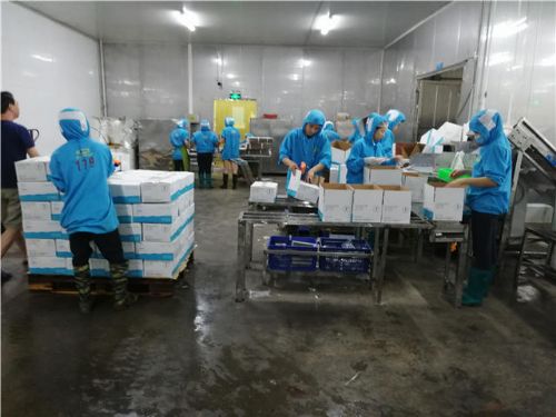 第三方專業(yè)驗(yàn)廠、生產(chǎn)環(huán)境檢查與商品檢測(cè)報(bào)告及禮儀服務(wù)全解析